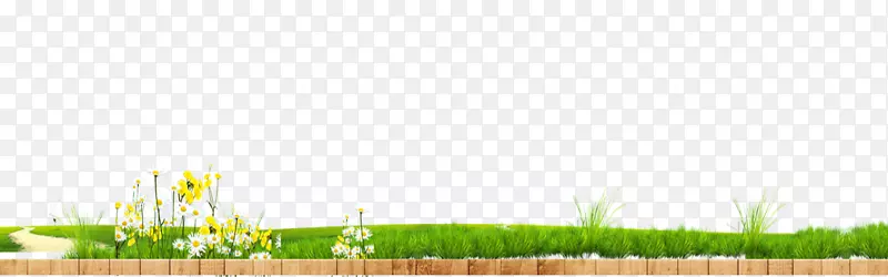 草坪，麦草，土地，能源墙纸-绿草花