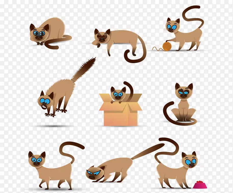 暹罗猫，阿比西尼亚小猫，狗夹，艺术插画，橙色宠物，暹罗猫