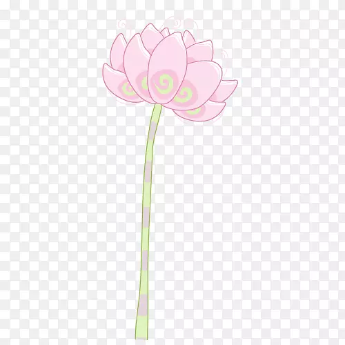 开花植物切花植物茎瓣粉红色莲花模型