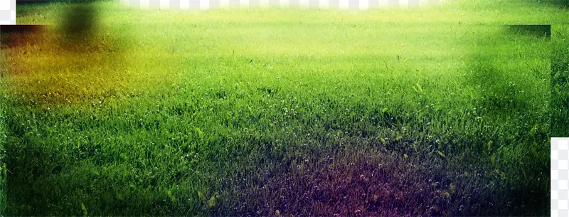 阳光作物草原天空消音器-创意绿草