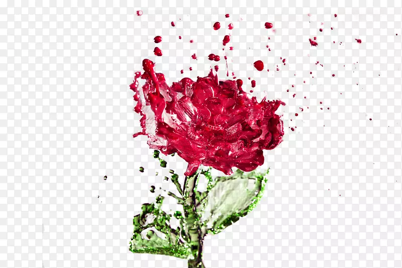 蒸馏水玫瑰水滴-创意水印玫瑰