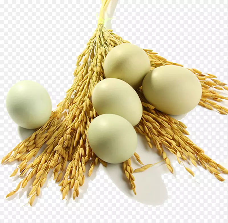 鸡笼蛋-小麦幼苗黑蛋