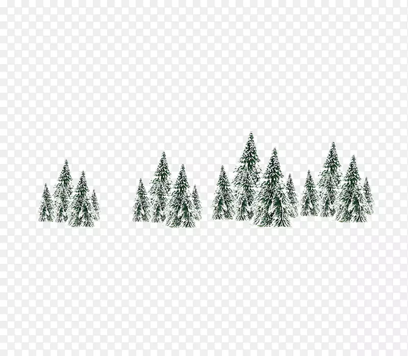 冬季云杉树-圣诞树