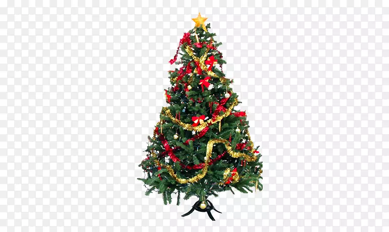 圣诞树，圣诞灯，圣诞点缀，点亮的圣诞树