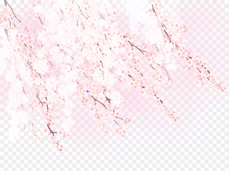 樱花-浪漫的樱花图案