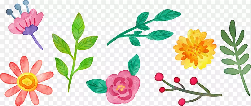 花卉设计花卉水彩画卡通水彩画