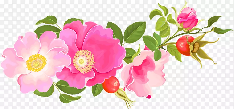 花园玫瑰、蜈蚣玫瑰、花卉设计-粉红色花卉设计