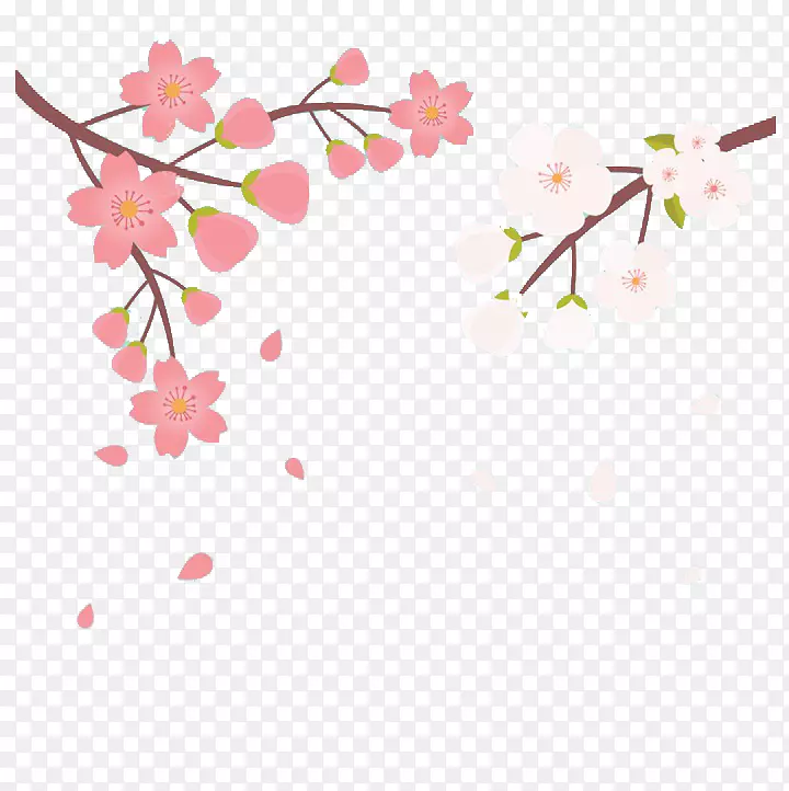 樱花寿司及八樱花彩绘两色樱桃