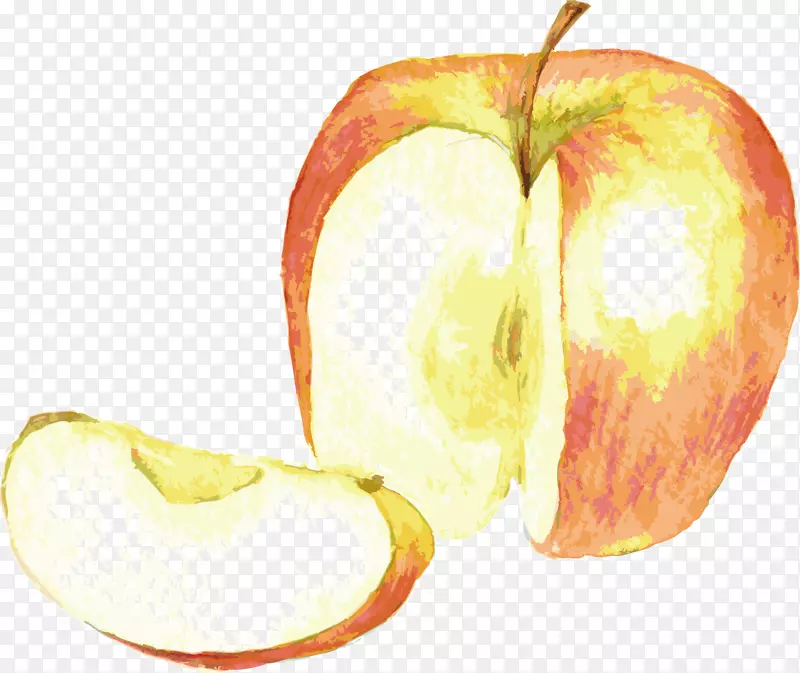 水彩画写实苹果图