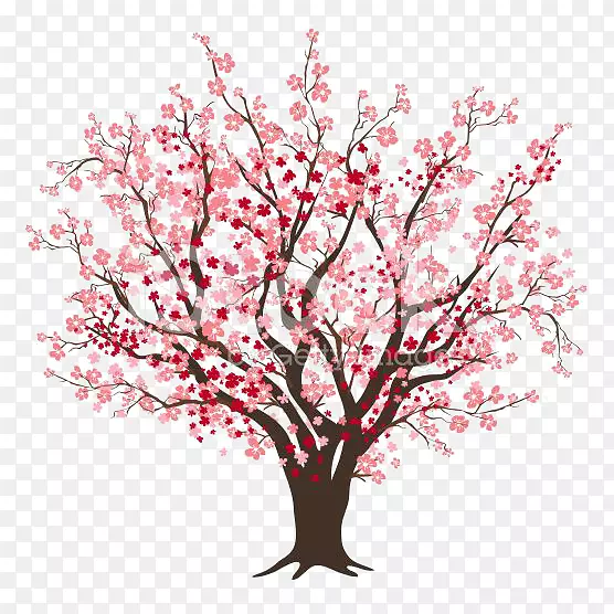 樱花树剪贴画-卡通樱桃树