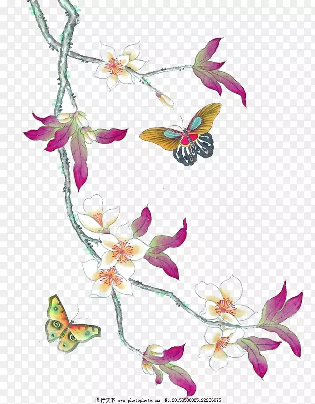 花卉设计蝴蝶昆虫视觉艺术.樱桃图案