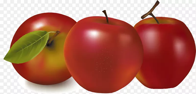 免费苹果水果插图.喷漆苹果
