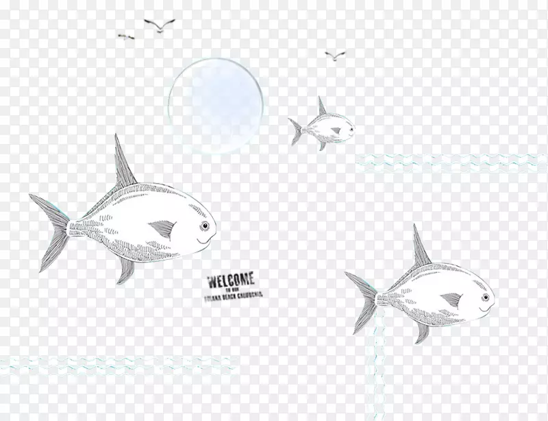 安魂曲鲨鱼海豚甲壳动物素描-淘宝日猫暑假