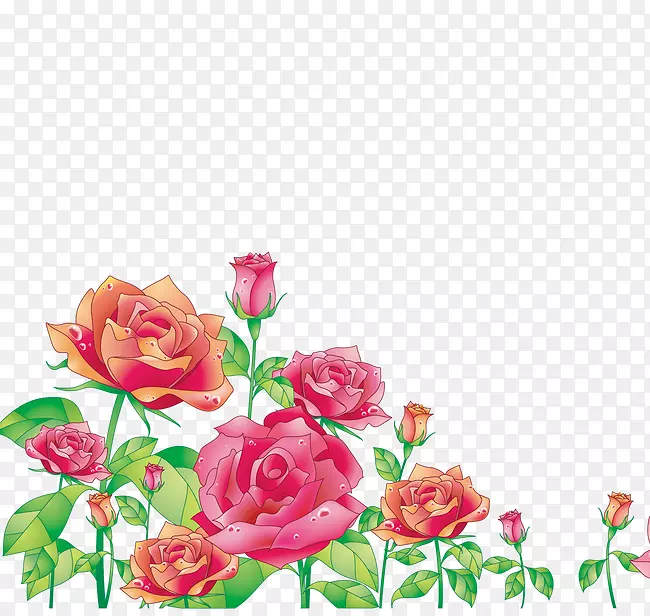 向心叶玫瑰摄影.红色花卉元素