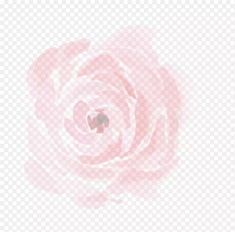 仙人掌玫瑰花园玫瑰粉红色牡丹花瓣-浪漫花