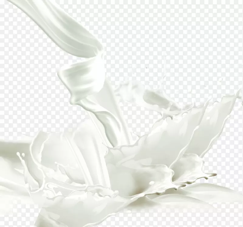 牛乳奶粉-乳料效应