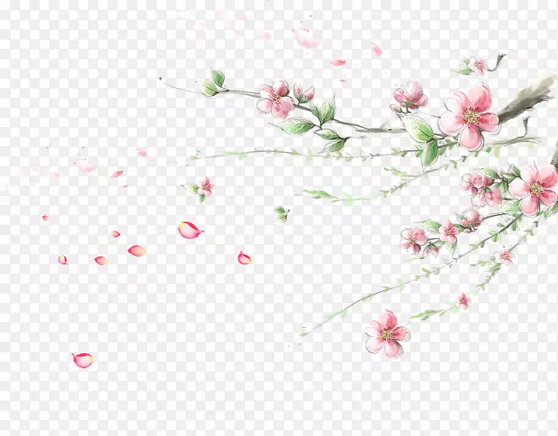 樱花墙纸-梅花角
