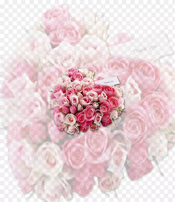 花园玫瑰、蜈蚣玫瑰、花卉图案、花束、切花-玫瑰礼品盒