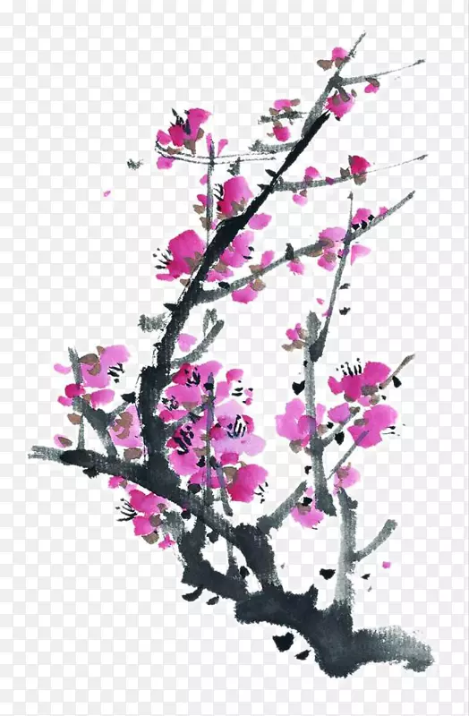 水墨画画牙周炎-墨梅