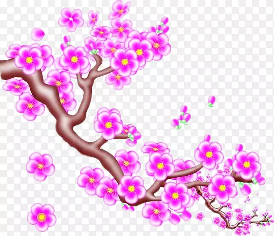梅花红桃树