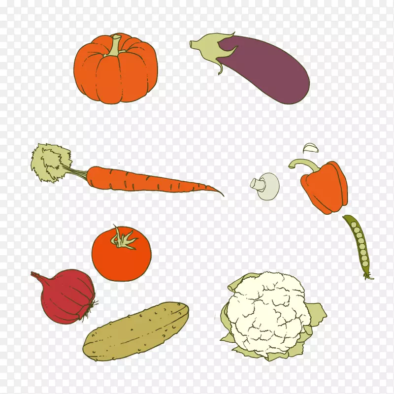 胡萝卜素食菜蔬菜南瓜-新鲜蔬菜图