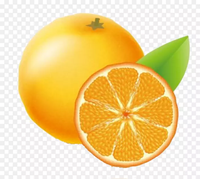 克莱门汀橙色土坯插画图标-楚橙免费按钮元素