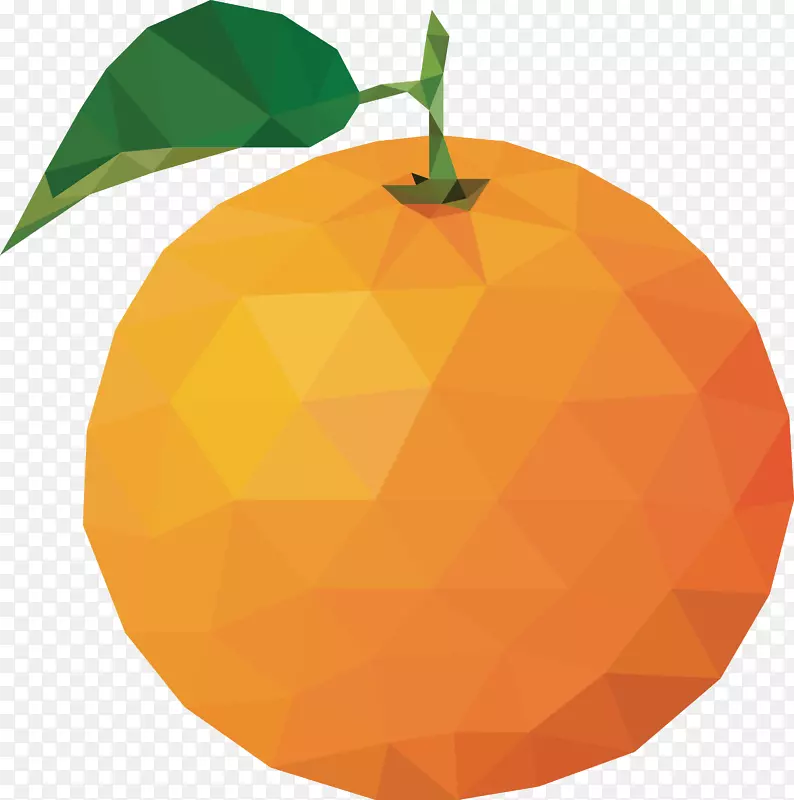 柑桔汁xd 7苦橙-橙载体设计