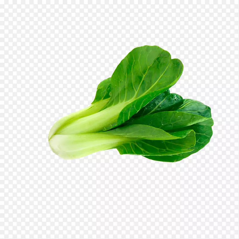 蔡素和像素图标-一种绿色蔬菜