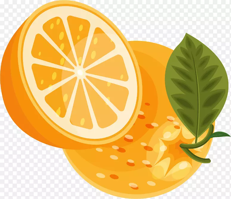 柠檬橙-PNG橙果实载体材料
