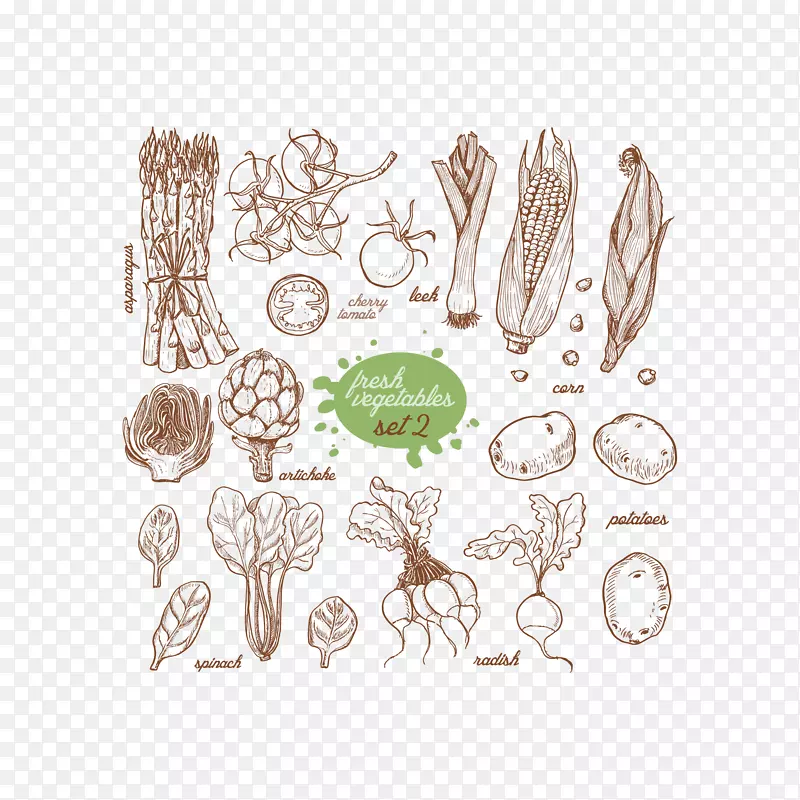 蔬菜食品插图-蔬菜避免绘画