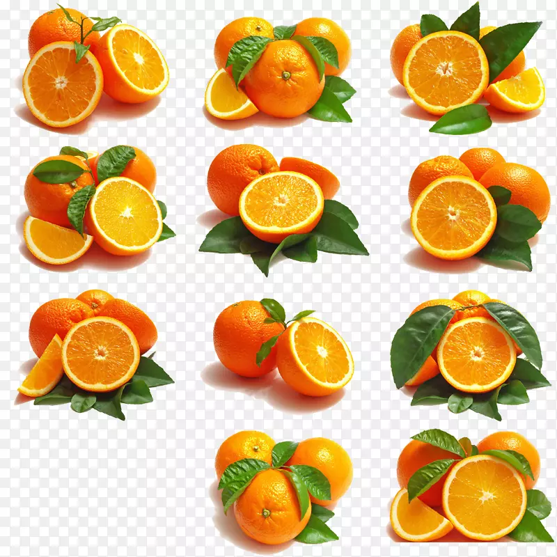 柑桔xd 7水果橙刺绣剪贴画-橙色11段