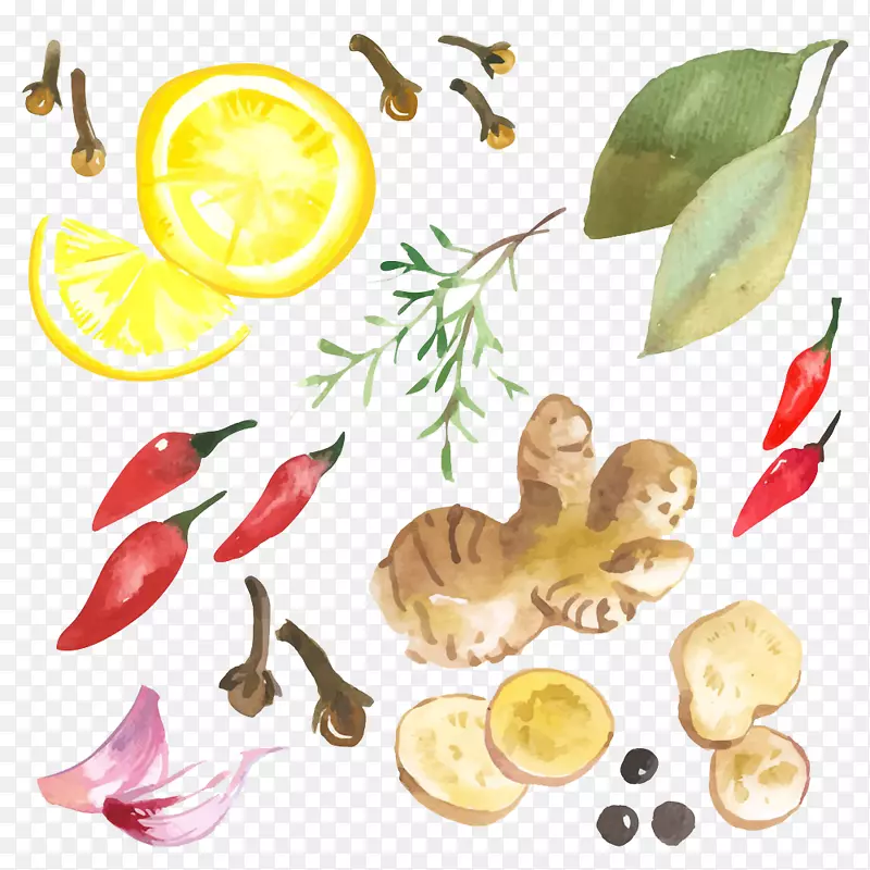 姜泰国菜插图-新鲜水果和蔬菜形象