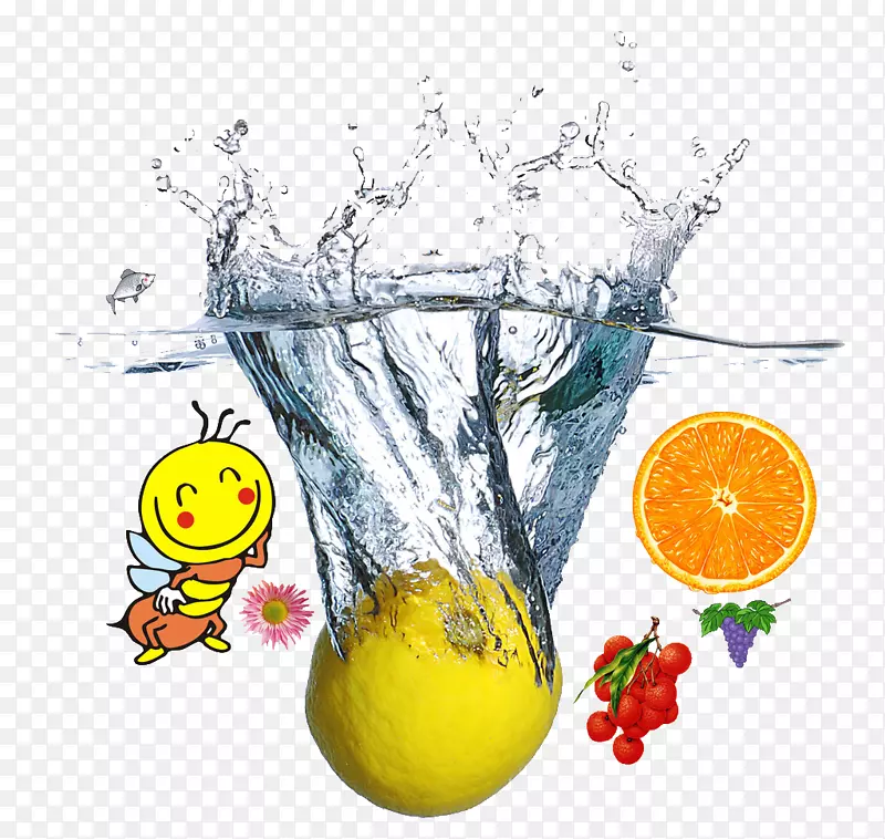 柠檬汁碳酸水蒸馏水水中水果