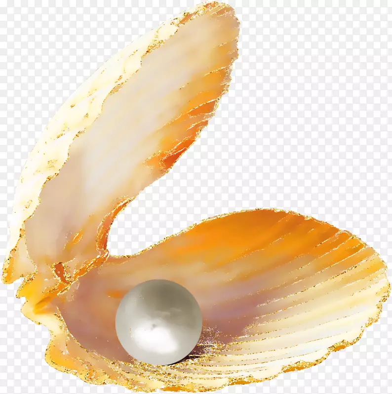 牡蛎珍珠贝壳倾斜-美丽的橙色珍珠扇贝