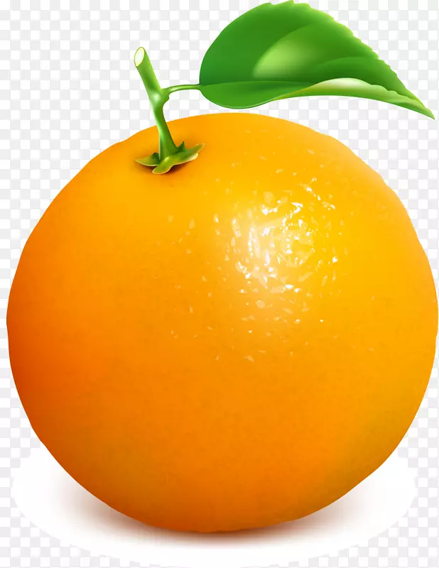 克莱门汀果汁，橘子，探戈，柚子-橘子，简洁的橙子