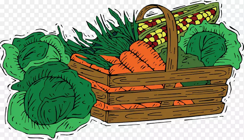 胡萝卜卷心菜蔬菜绘图.卡通蔬菜材料
