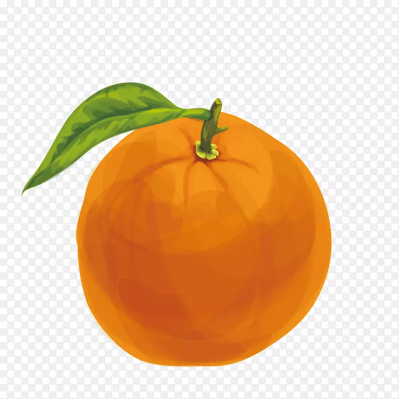 橙汁柠檬汁橘子漆橙