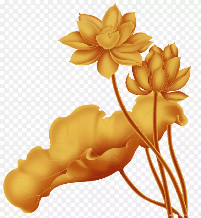莲花金黄中式莲花装饰图案