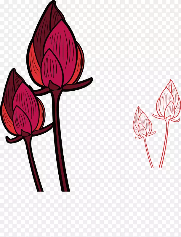 红花图案-彩绘红莲花蕾