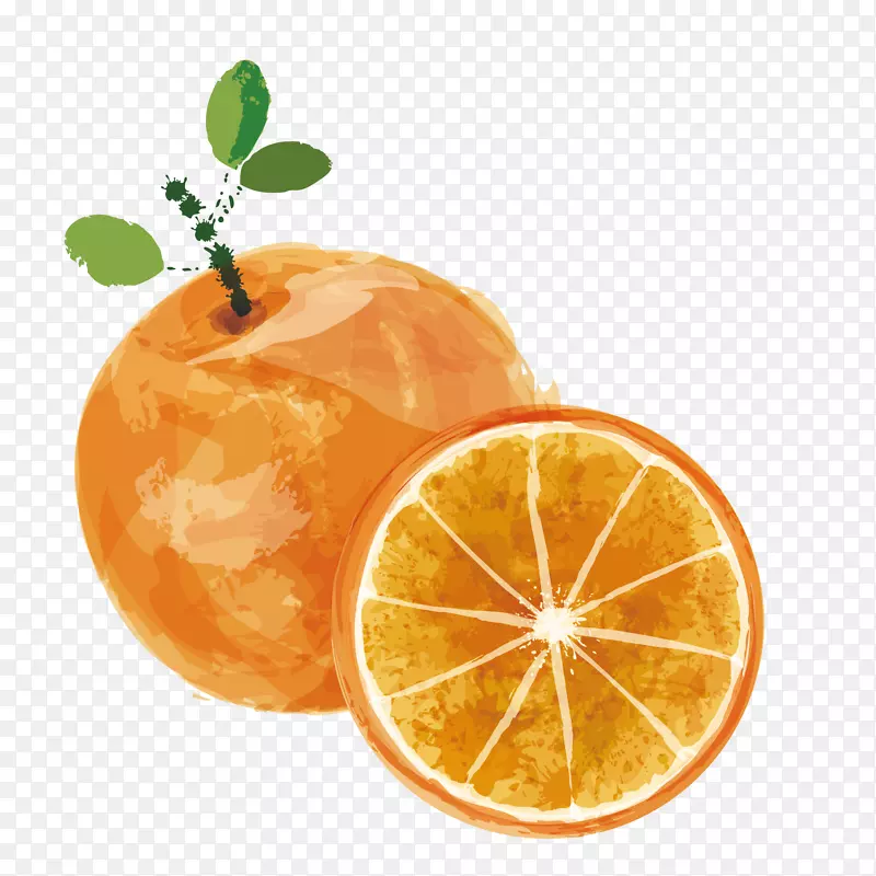 柠檬汁水果橙水彩橙