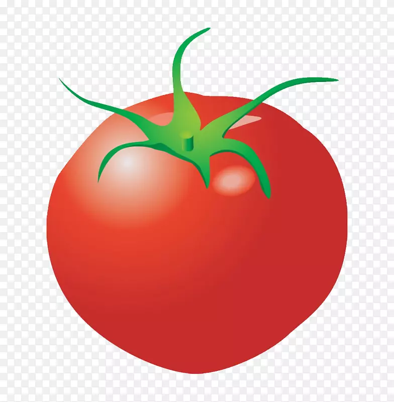李子番茄卡通剪辑艺术卡通蔬菜番茄
