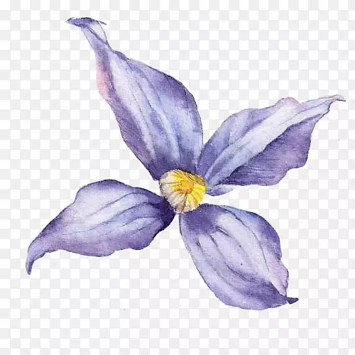 花图.手绘紫色三角花