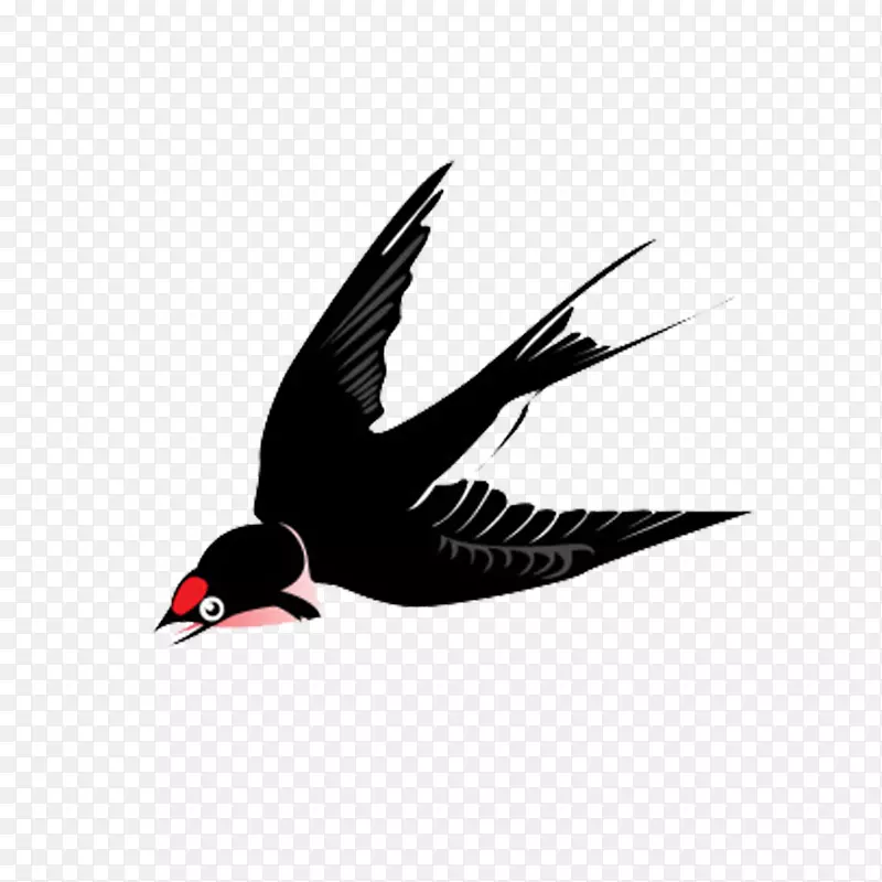燕雀摄影插图-自由飞行燕子黑色拉料