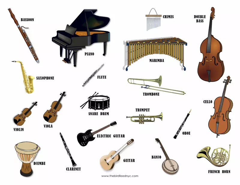 乐器弦乐器长笛音乐家乐器图纸