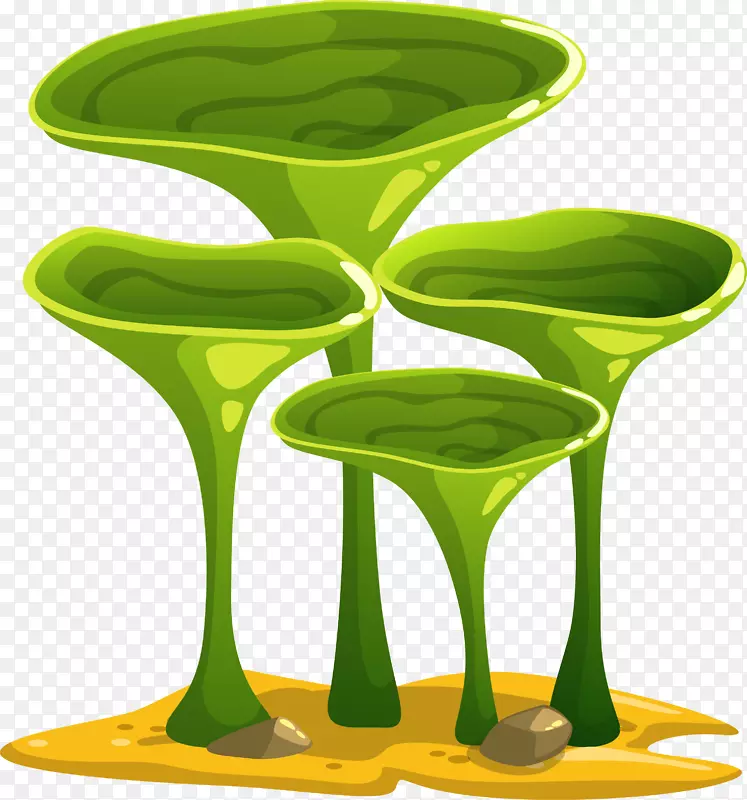 绿色海底植物-绿色海底植物