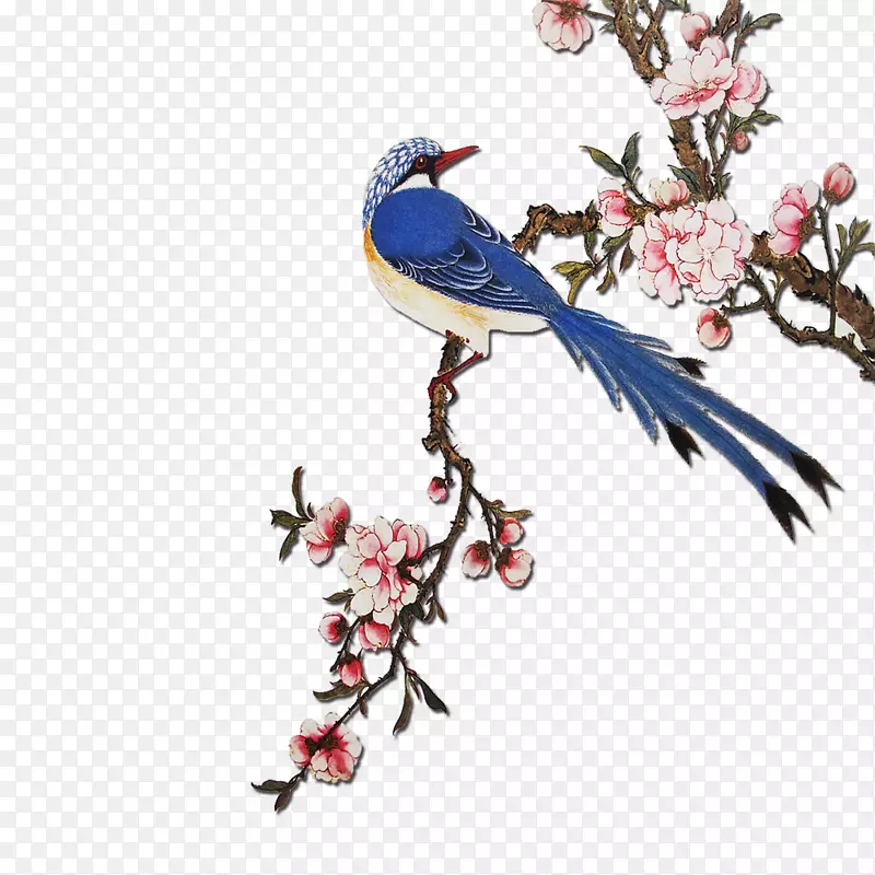 花桃树鸟画-非常快乐