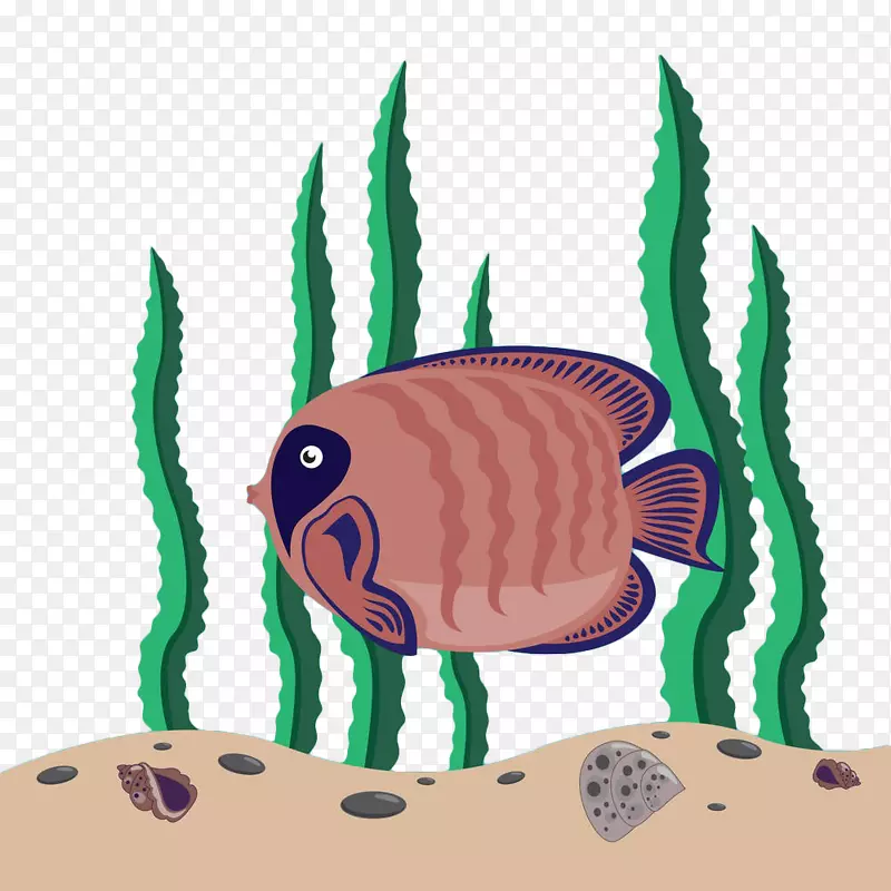 海藻鱼手绘海藻和鱼