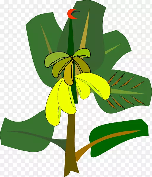 香蕉劈开剪贴画-香蕉植物剪贴画