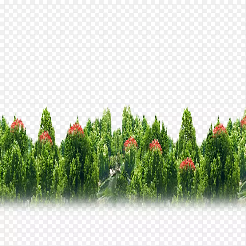 绿树针叶树.绿花图