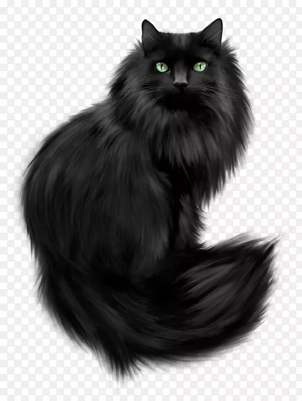 挪威森林猫波斯猫野猫黑猫